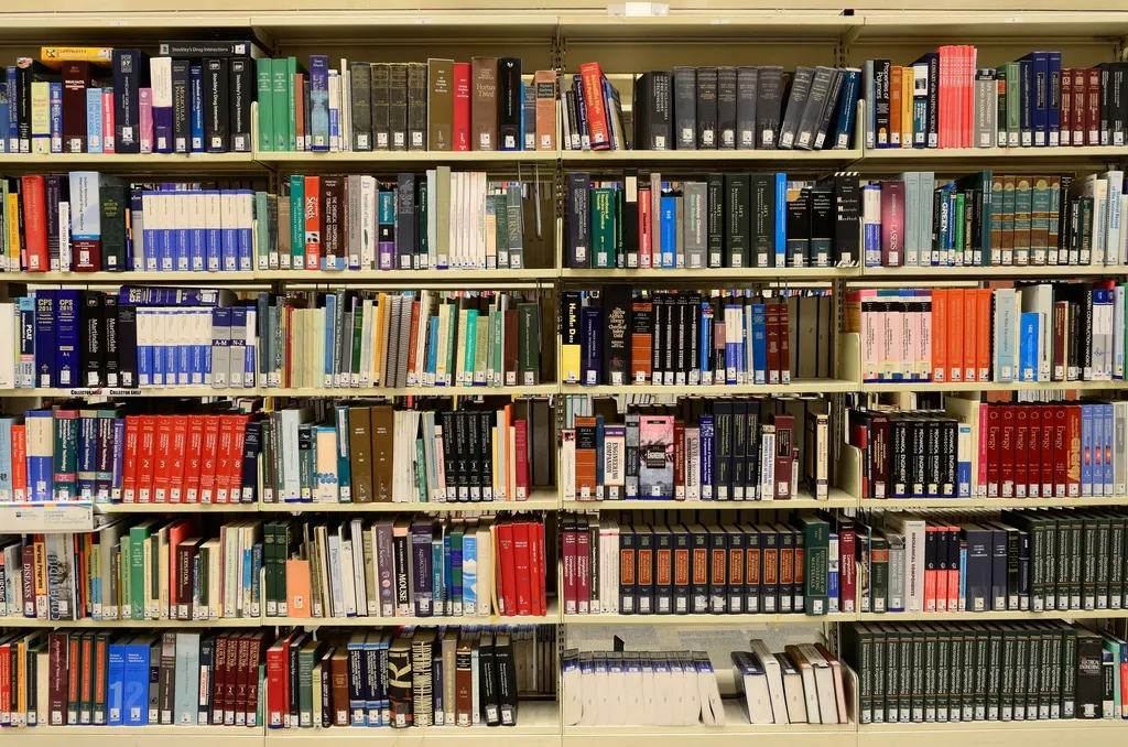 Rayonnage de librairie rempli de romans